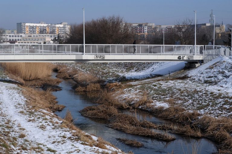 Jak si vybrat profesionální úklidovou službu v Plzni