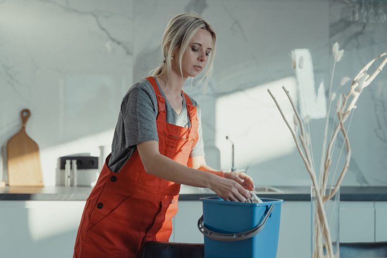 Kvalitní Uklid Domácnosti v Plzni: Kompletní Přehled Služeb CleanWhale a Ceník 2024